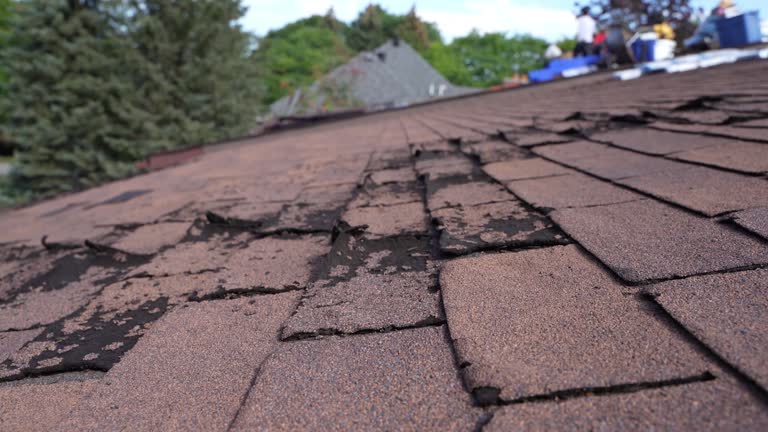 Steel Roofing in Harlem, FL